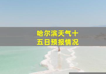 哈尔滨天气十五日预报情况