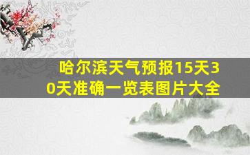 哈尔滨天气预报15天30天准确一览表图片大全