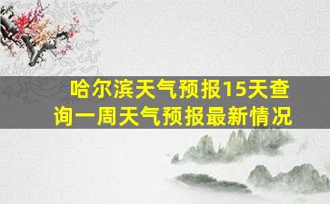 哈尔滨天气预报15天查询一周天气预报最新情况