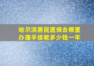 哈尔滨居民医保去哪里办理手续呢多少钱一年