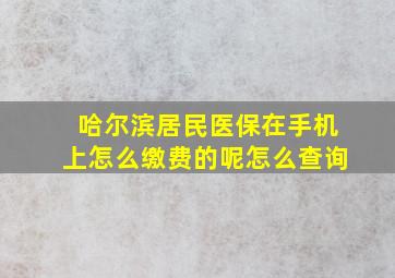 哈尔滨居民医保在手机上怎么缴费的呢怎么查询