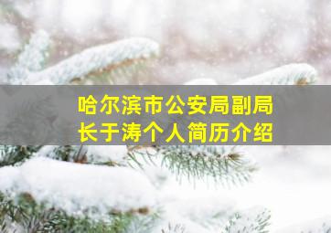 哈尔滨市公安局副局长于涛个人简历介绍