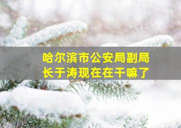 哈尔滨市公安局副局长于涛现在在干嘛了