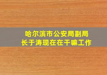 哈尔滨市公安局副局长于涛现在在干嘛工作