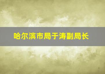 哈尔滨市局于涛副局长