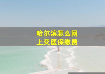 哈尔滨怎么网上交医保缴费