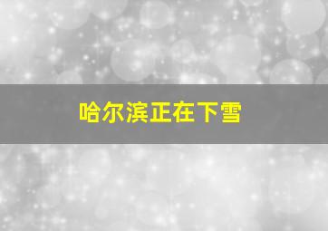 哈尔滨正在下雪