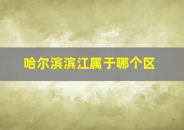 哈尔滨滨江属于哪个区