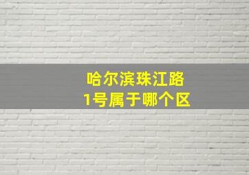 哈尔滨珠江路1号属于哪个区