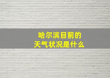 哈尔滨目前的天气状况是什么