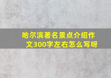 哈尔滨著名景点介绍作文300字左右怎么写呀