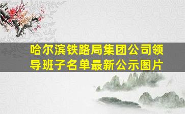 哈尔滨铁路局集团公司领导班子名单最新公示图片