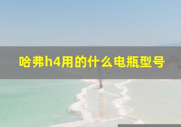 哈弗h4用的什么电瓶型号