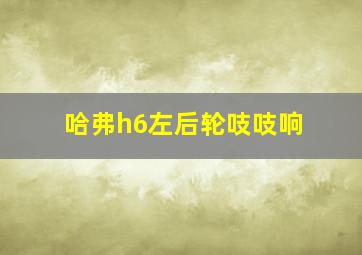 哈弗h6左后轮吱吱响