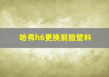 哈弗h6更换前脸塑料