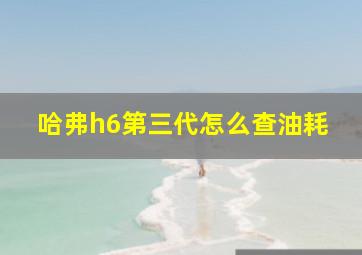 哈弗h6第三代怎么查油耗