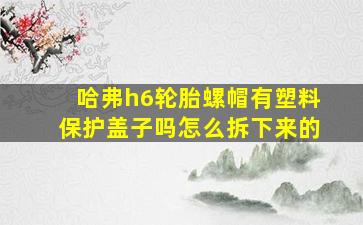 哈弗h6轮胎螺帽有塑料保护盖子吗怎么拆下来的