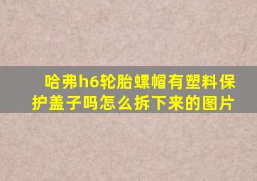 哈弗h6轮胎螺帽有塑料保护盖子吗怎么拆下来的图片