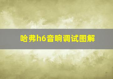 哈弗h6音响调试图解