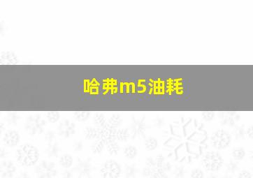 哈弗m5油耗