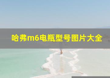 哈弗m6电瓶型号图片大全