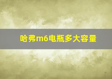 哈弗m6电瓶多大容量