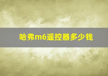 哈弗m6遥控器多少钱