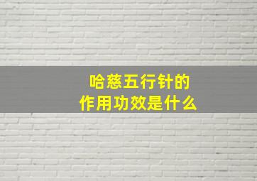 哈慈五行针的作用功效是什么