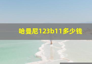 哈曼尼123b11多少钱