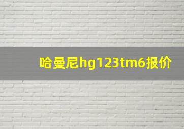 哈曼尼hg123tm6报价