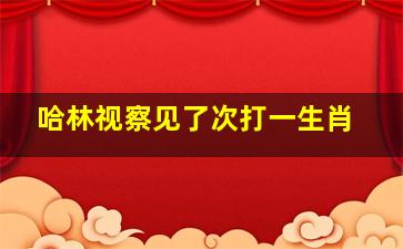 哈林视察见了次打一生肖