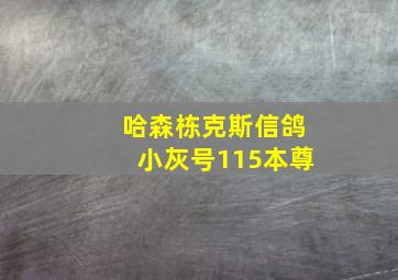 哈森栋克斯信鸽小灰号115本尊