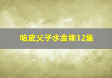 哈皮父子水金刚12集