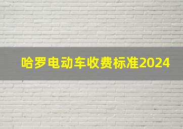 哈罗电动车收费标准2024