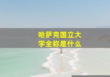 哈萨克国立大学全称是什么