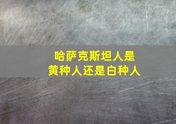 哈萨克斯坦人是黄种人还是白种人