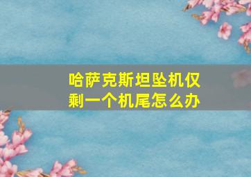 哈萨克斯坦坠机仅剩一个机尾怎么办