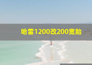 哈雷1200改200宽胎