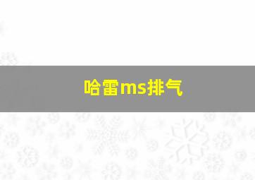 哈雷ms排气