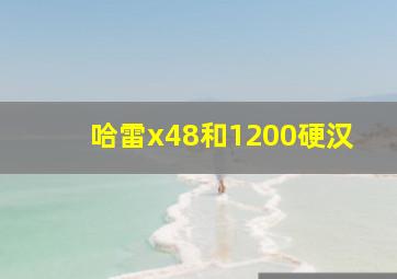 哈雷x48和1200硬汉