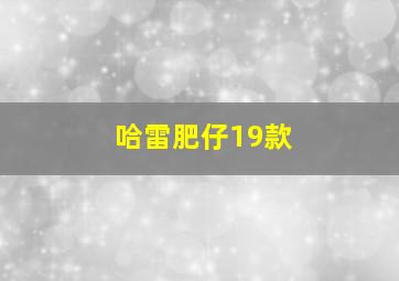 哈雷肥仔19款