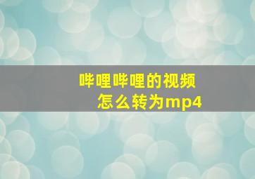 哔哩哔哩的视频怎么转为mp4