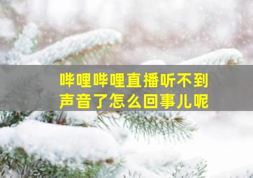 哔哩哔哩直播听不到声音了怎么回事儿呢