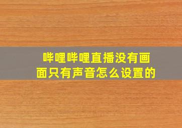 哔哩哔哩直播没有画面只有声音怎么设置的