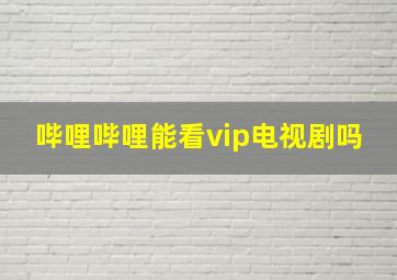 哔哩哔哩能看vip电视剧吗