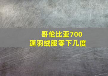 哥伦比亚700蓬羽绒服零下几度