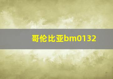 哥伦比亚bm0132