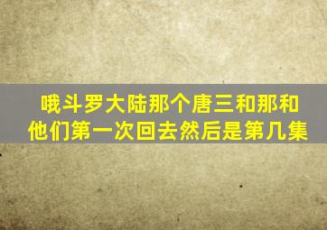 哦斗罗大陆那个唐三和那和他们第一次回去然后是第几集