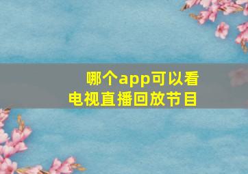 哪个app可以看电视直播回放节目