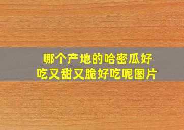 哪个产地的哈密瓜好吃又甜又脆好吃呢图片